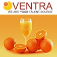 Сайт для Ventra Employment
